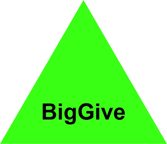 Big Give (Dec 1-8 Only)